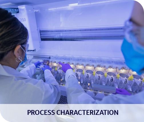 Biologics CDMO - Process Characterization