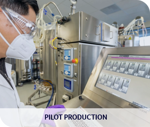Biologics CDMO - Pilot Production