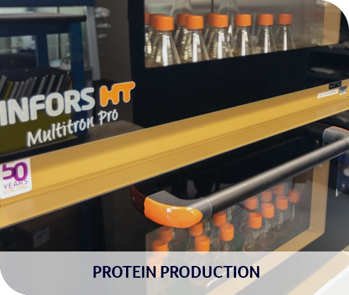 Biologics CDMO - Protein Production
